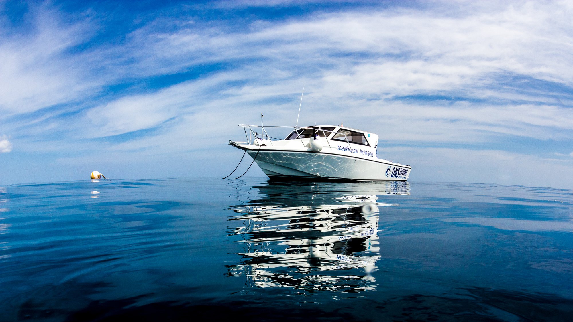 DNS Diving's boat Ariality on calm blue water in Grand Cayman, with its reflection and the DNS Diving branding on the hull