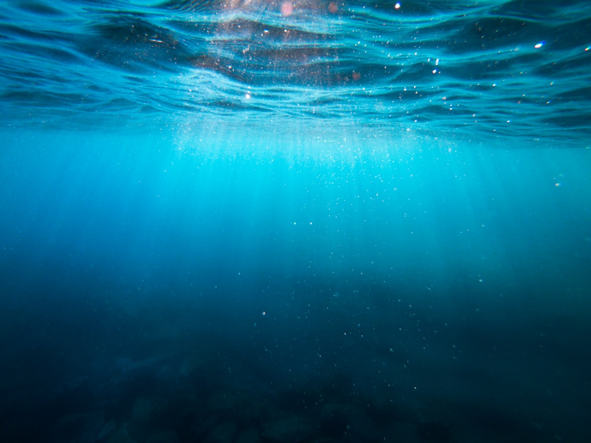 Sunlight beaming down through clear turquoise water near the surface